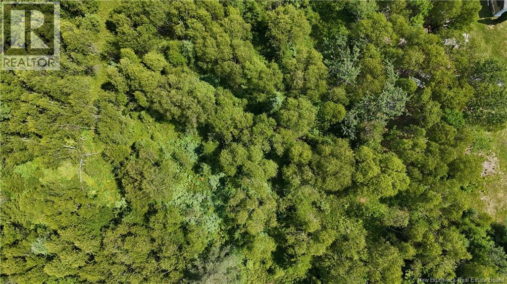 Route 780, Utopia, New Brunswick  E5C 2G1 - Photo 6 - NB135034