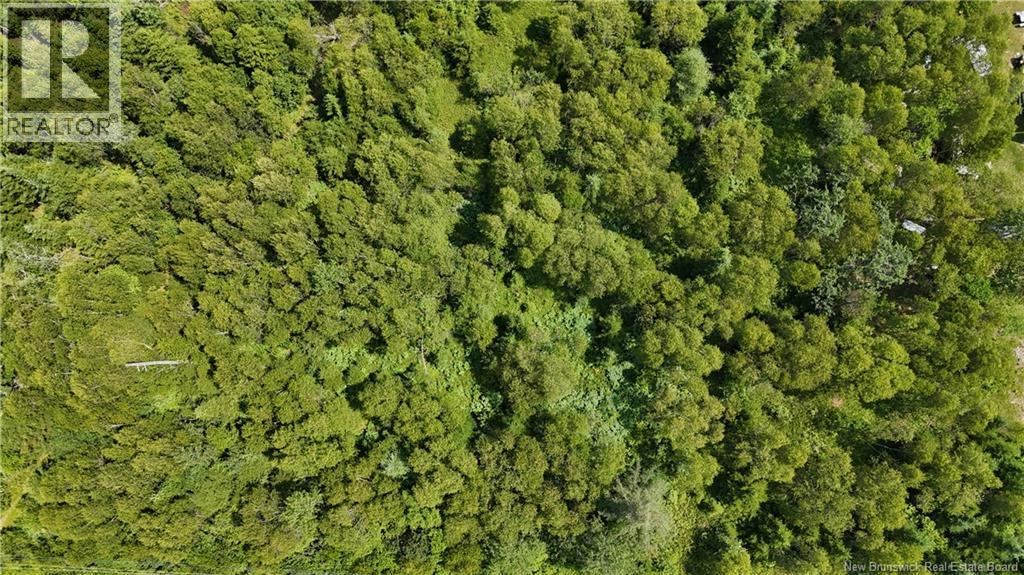 Route 780, Utopia, New Brunswick  E5C 2G1 - Photo 7 - NB135034