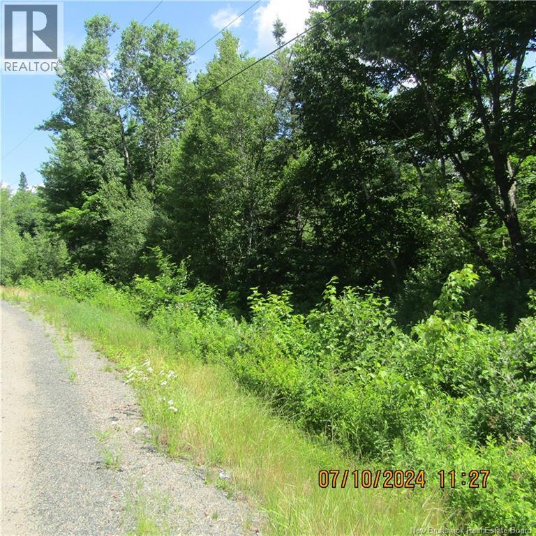 Lot 82-11 Route 770, Lee Settlement, New Brunswick  E5C 1E9 - Photo 4 - NB135546