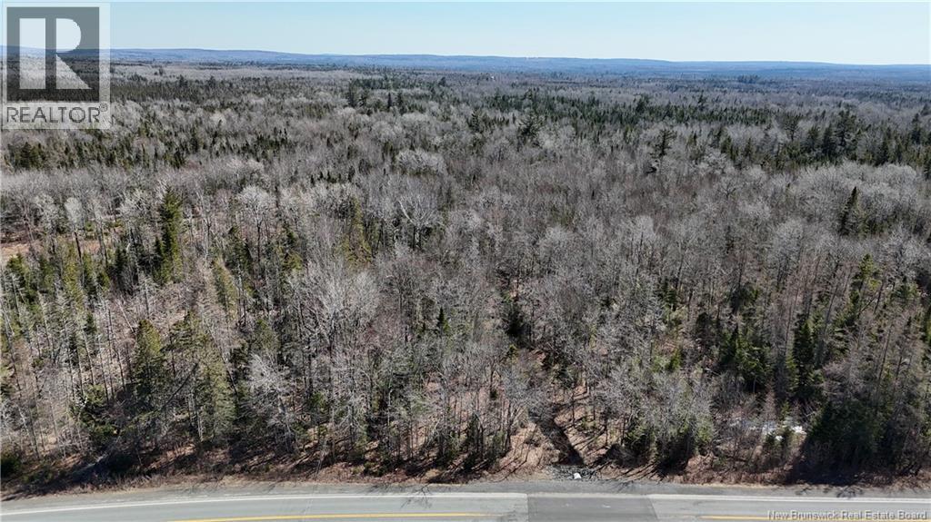 Lot 3 Route 3, Andersonville, New Brunswick  E5A 1E2 - Photo 6 - NB135242