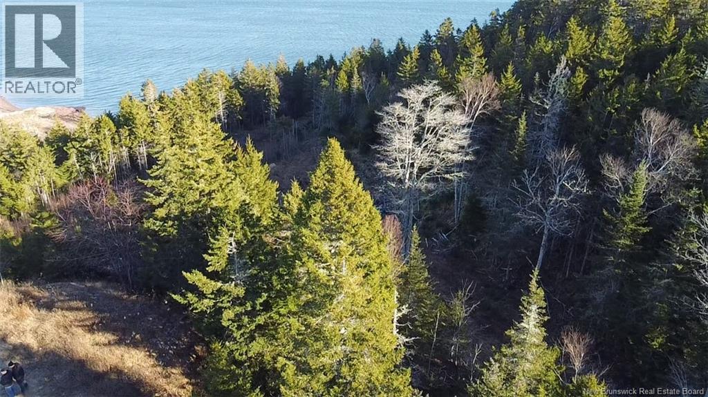 Lot 1 Kilmarnock Head, Chamcook, New Brunswick  E5B 0A9 - Photo 4 - NB135014
