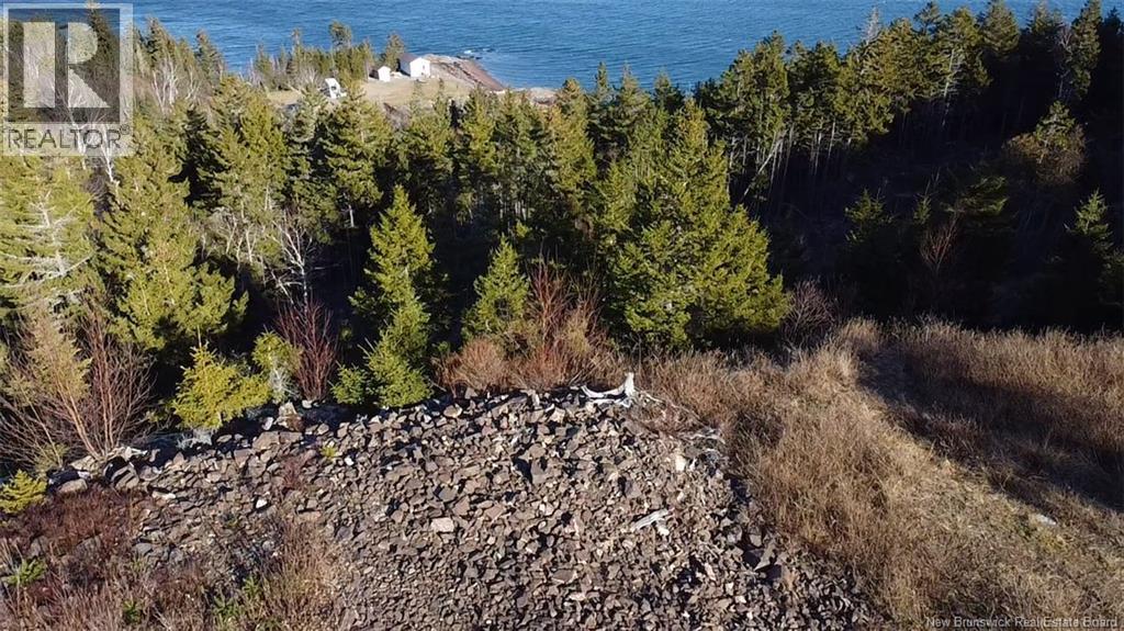Lot 1 Kilmarnock Head, Chamcook, New Brunswick  E5B 0A9 - Photo 7 - NB135014