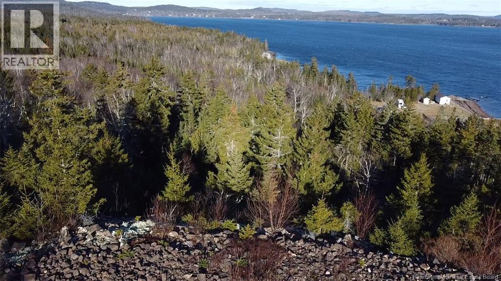 Lot 1 Kilmarnock Head, Chamcook, New Brunswick  E5B 0A9 - Photo 8 - NB135014