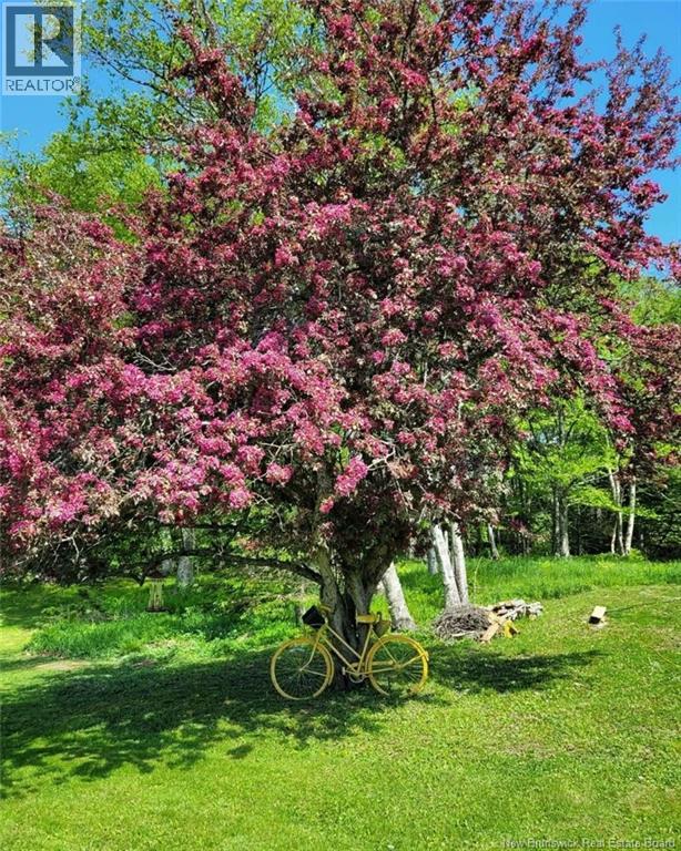 55 Hayes Street, Saint John, New Brunswick E2M 5K2 - Photo 39 - NB134795