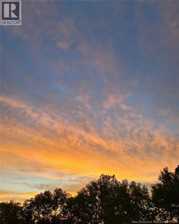 55 Hayes Street, Saint John, New Brunswick E2M 5K2 - Photo 41 - NB134795