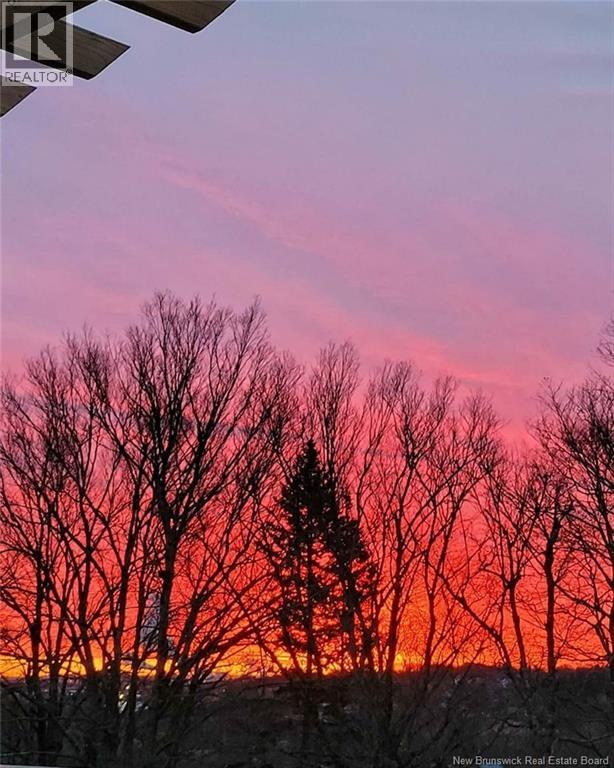 55 Hayes Street, Saint John, New Brunswick E2M 5K2 - Photo 42 - NB134795