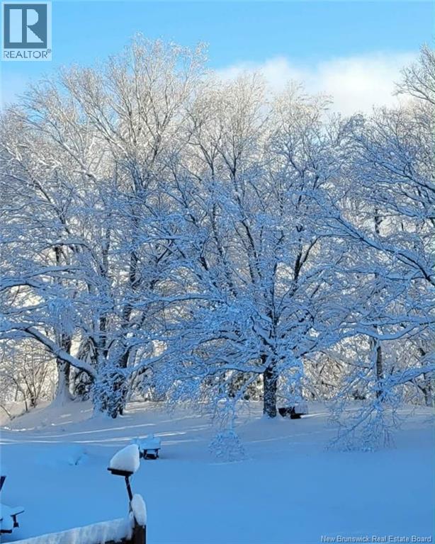 55 Hayes Street, Saint John, New Brunswick E2M 5K2 - Photo 44 - NB134795