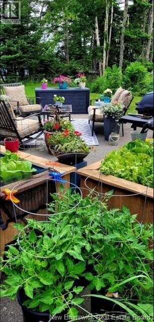 549 Main Street, Beaver Harbour, New Brunswick E5H 1M6 - Photo 14 - NB135348