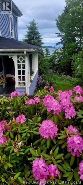 549 Main Street, Beaver Harbour, New Brunswick E5H 1M6 - Photo 15 - NB135348