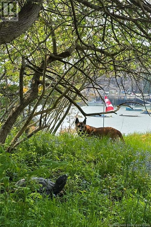 549 Main Street, Beaver Harbour, New Brunswick E5H 1M6 - Photo 6 - NB135348