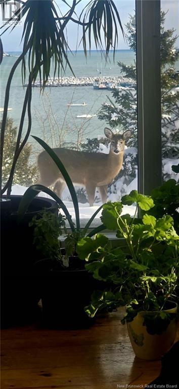 549 Main Street, Beaver Harbour, New Brunswick E5H 1M6 - Photo 7 - NB135348