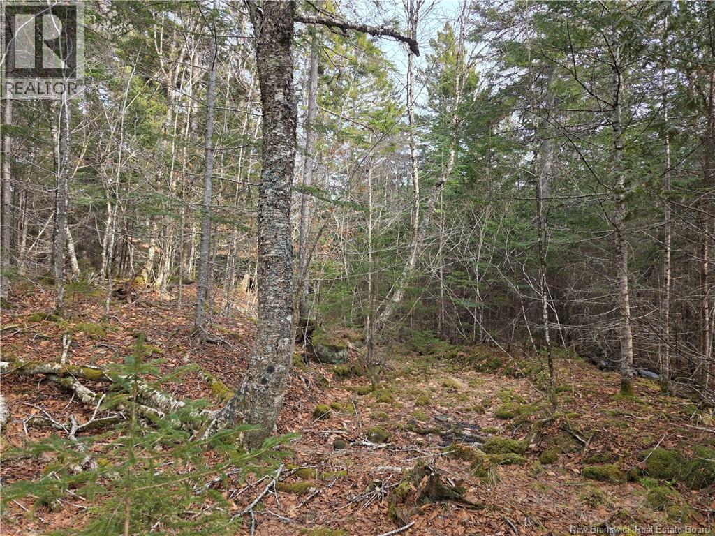 Lot Bayview Boulevard, Chamcook, New Brunswick  E5B 0G7 - Photo 3 - NB135829