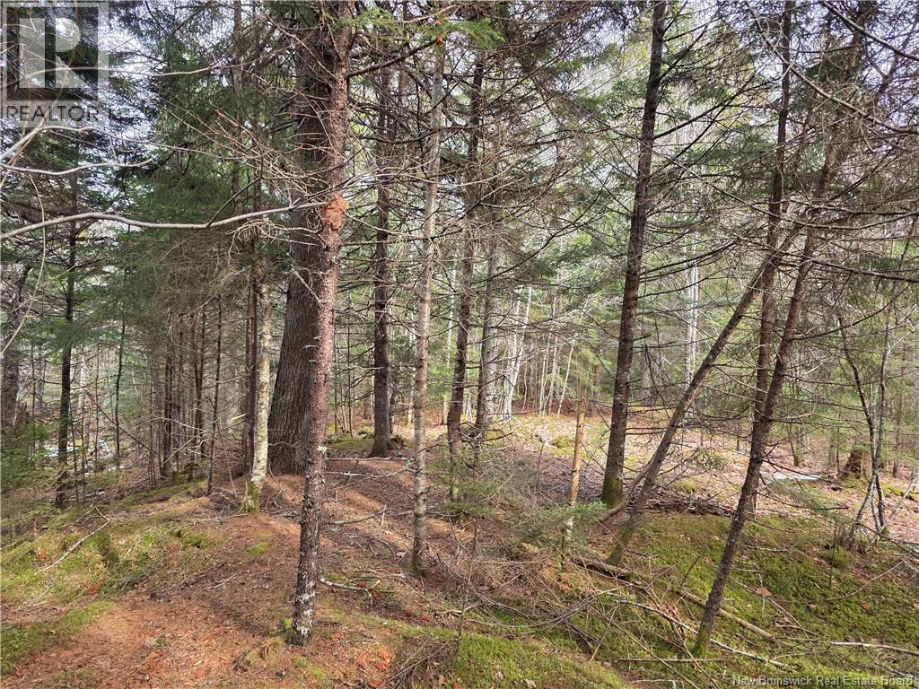 Lot Bayview Boulevard, Chamcook, New Brunswick  E5B 0G7 - Photo 4 - NB135829