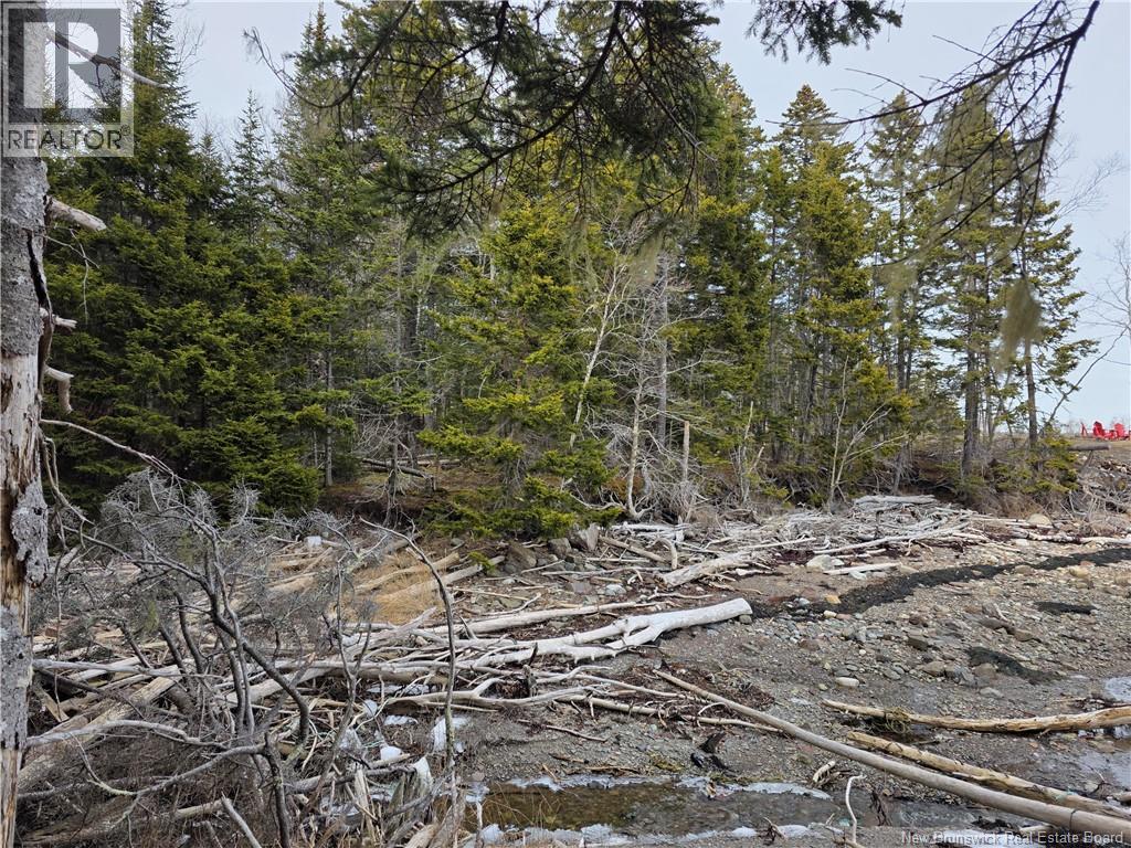 Lot Bayview Boulevard, Chamcook, New Brunswick  E5B 0G7 - Photo 7 - NB135829
