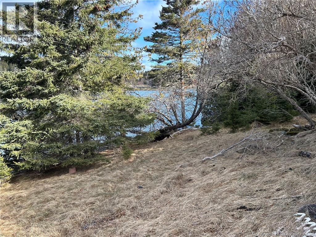 00 Leslie Harbour Lane, Leonardville, New Brunswick  E5V 1K2 - Photo 7 - NB136074