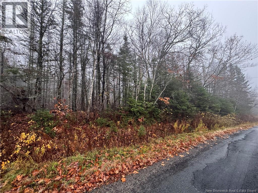 25-02 St. David Ridge Road, Oak Bay, New Brunswick E3L 4R1 - Photo 4 - NB136354