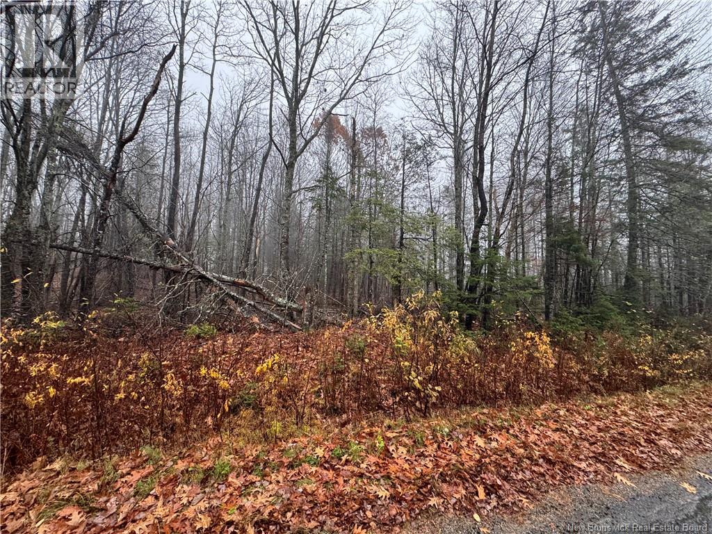 25-02 St. David Ridge Road, Oak Bay, New Brunswick E3L 4R1 - Photo 5 - NB136354