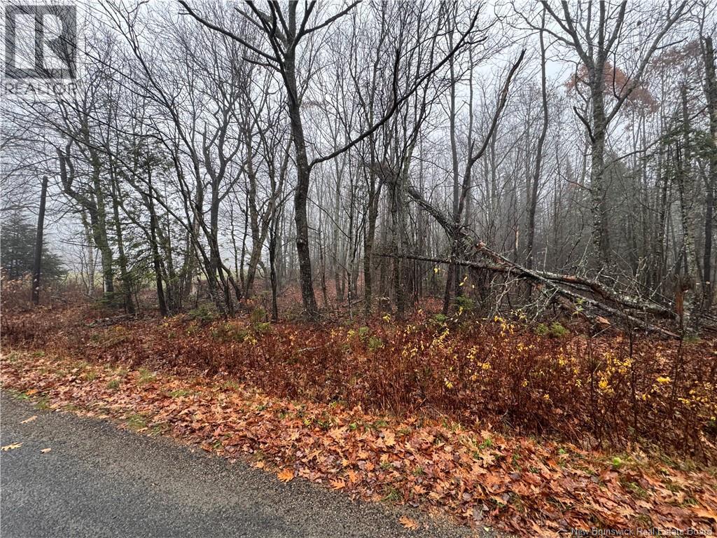 25-01 St. David Ridge Road, Oak Bay, New Brunswick  E3L 4R1 - Photo 6 - NB136351