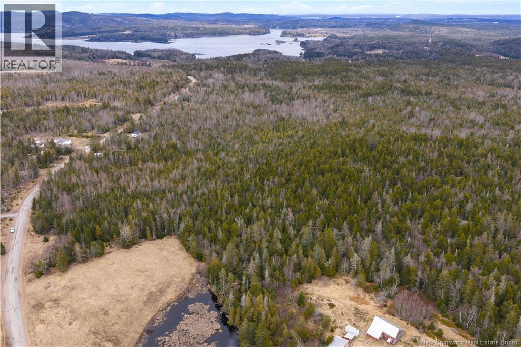 Lot Mascarene Road, Mascarene, New Brunswick  E5C 2R9 - Photo 10 - NB136557