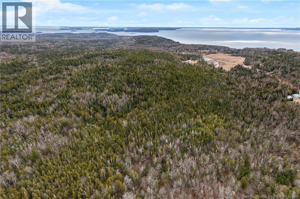 Lot Mascarene Road, Mascarene, New Brunswick  E5C 2R9 - Photo 15 - NB136557