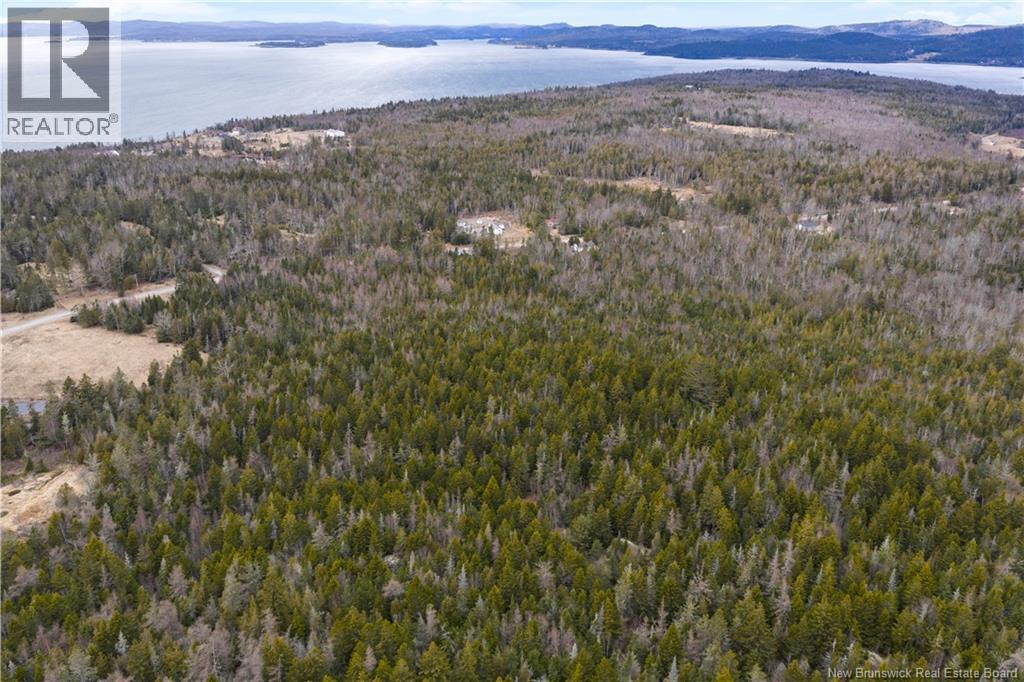 Lot Mascarene Road, Mascarene, New Brunswick  E5C 2R9 - Photo 16 - NB136557