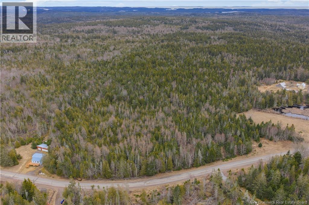 Lot Mascarene Road, Mascarene, New Brunswick  E5C 2R9 - Photo 2 - NB136557