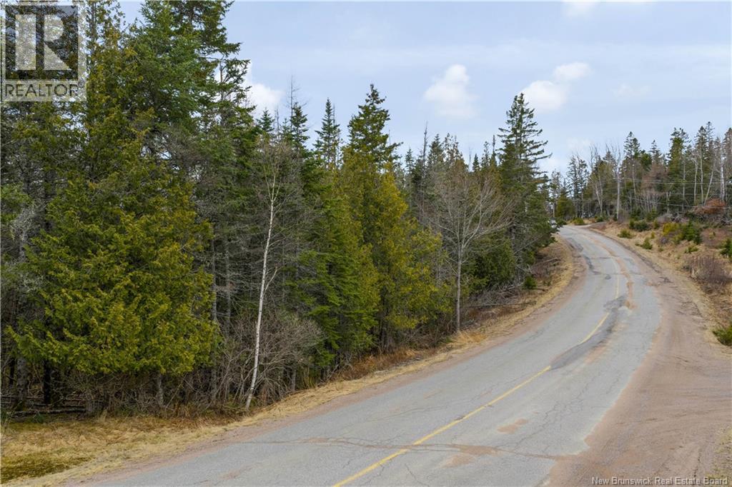 Lot Mascarene Road, Mascarene, New Brunswick  E5C 2R9 - Photo 8 - NB136557