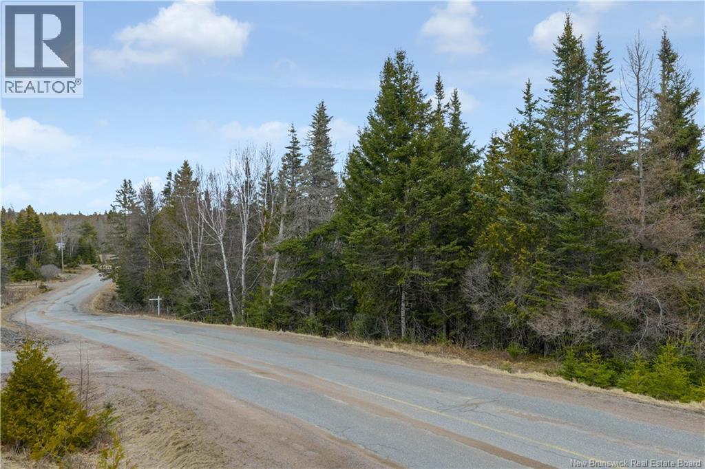 Lot Mascarene Road, Mascarene, New Brunswick  E5C 2R9 - Photo 9 - NB136557