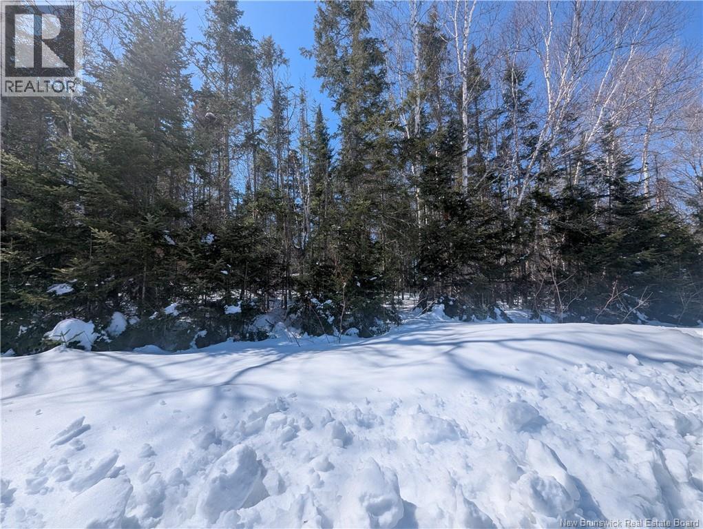 1742sqm Apple Street, South Tetagouche, New Brunswick  E2E 4T8 - Photo 1 - NB136777