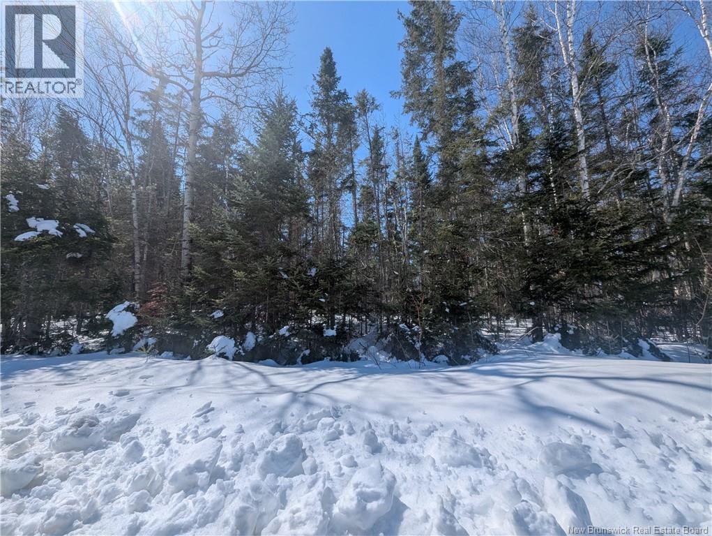 1742sqm Apple Street, South Tetagouche, New Brunswick  E2E 4T8 - Photo 4 - NB136777