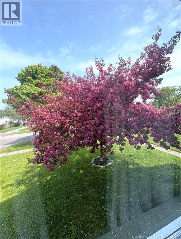 496 Argyle Street, Saint John, New Brunswick  E2M 3B1 - Photo 33 - NB136237