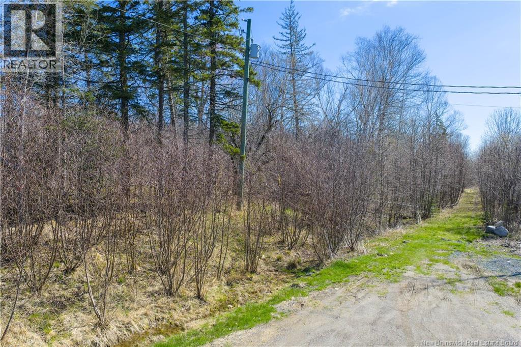 Lot 9 Quoddy Shores Drive, Saint Andrews, New Brunswick  E5B 3T7 - Photo 14 - NB136774