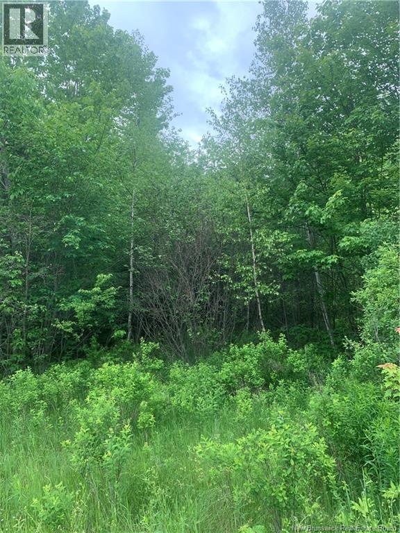 Land Route 3, Dewolfe, New Brunswick  E5A 1K8 - Photo 4 - NB136887