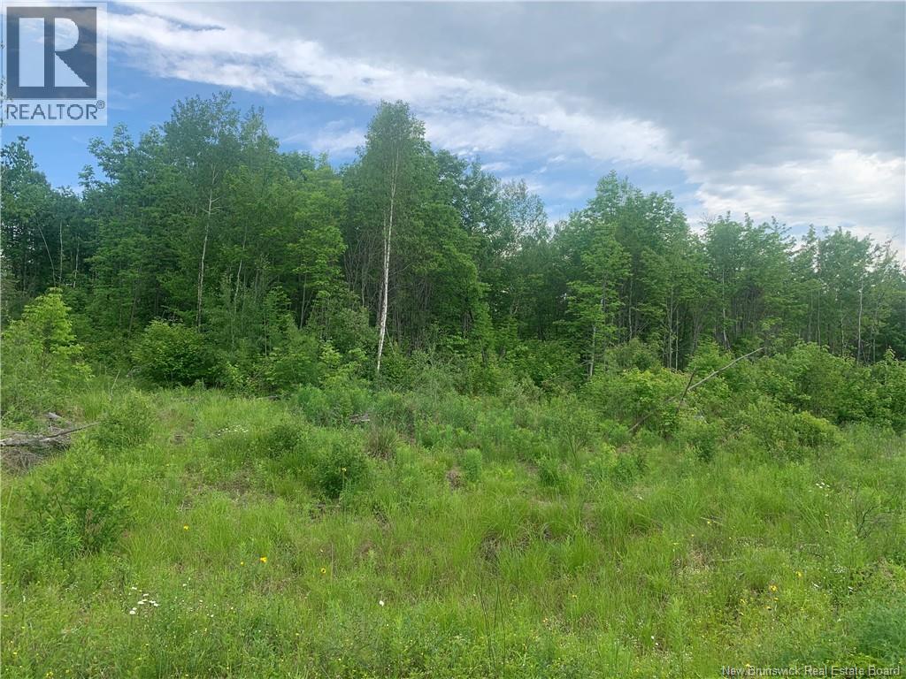 Land Route 3, Dewolfe, New Brunswick  E5A 1K8 - Photo 5 - NB136887