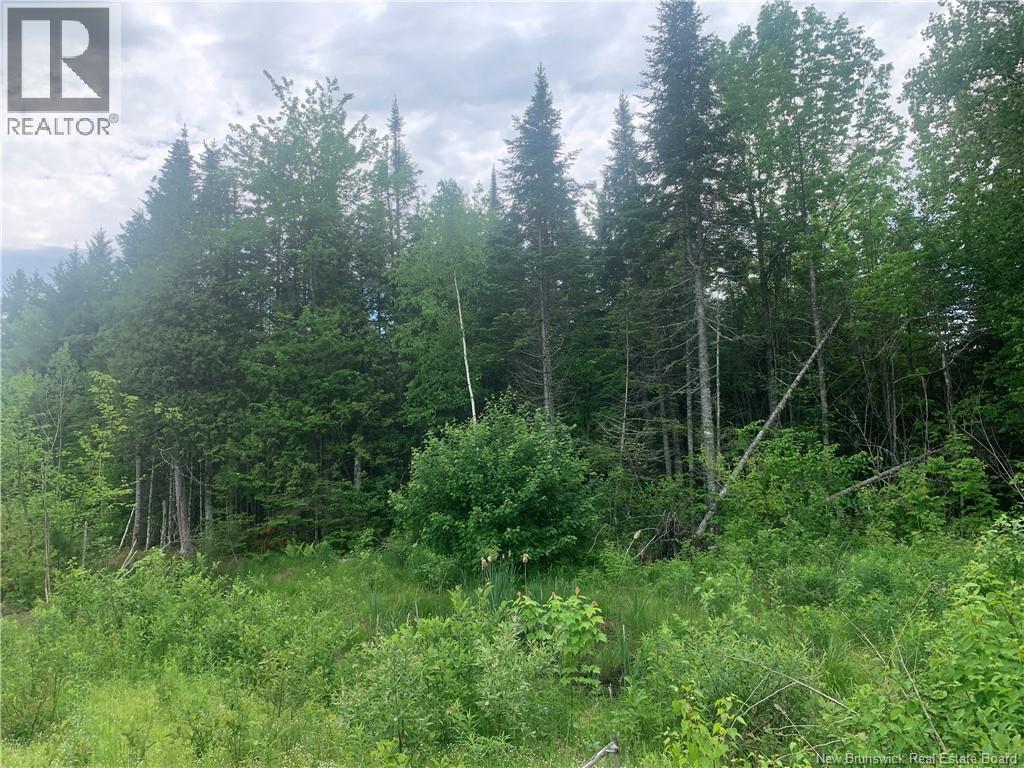 Land Route 3, Dewolfe, New Brunswick  E5A 1K8 - Photo 7 - NB136887