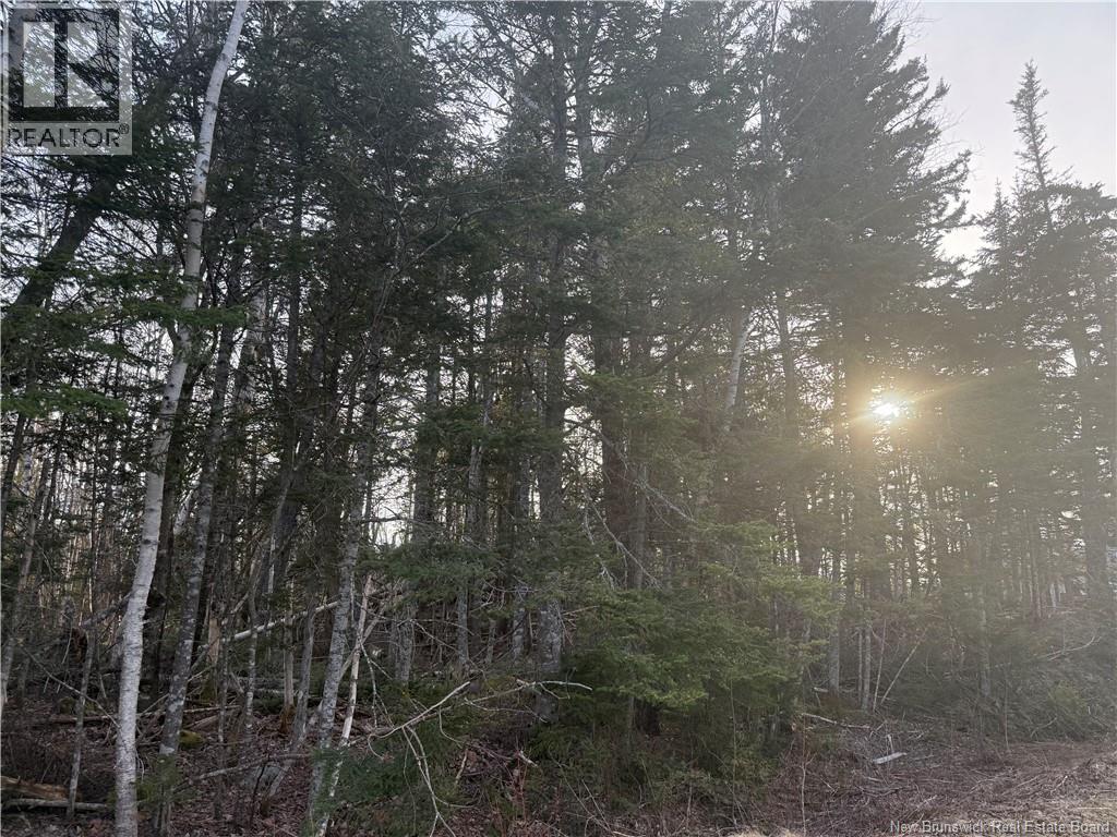 Mckay Loop Road, Pennfield, New Brunswick  E5H 2L2 - Photo 4 - NB136960