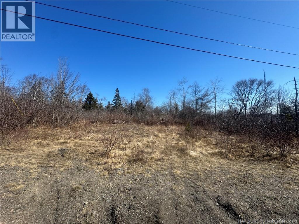 90 Foster Hill Road, Grand Manan, New Brunswick  E5G 2G6 - Photo 10 - NB137043