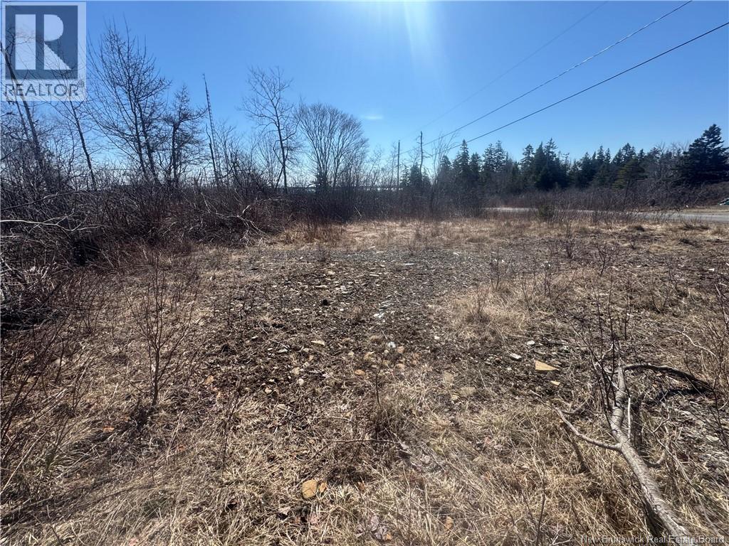 90 Foster Hill Road, Grand Manan, New Brunswick  E5G 2G6 - Photo 6 - NB137043