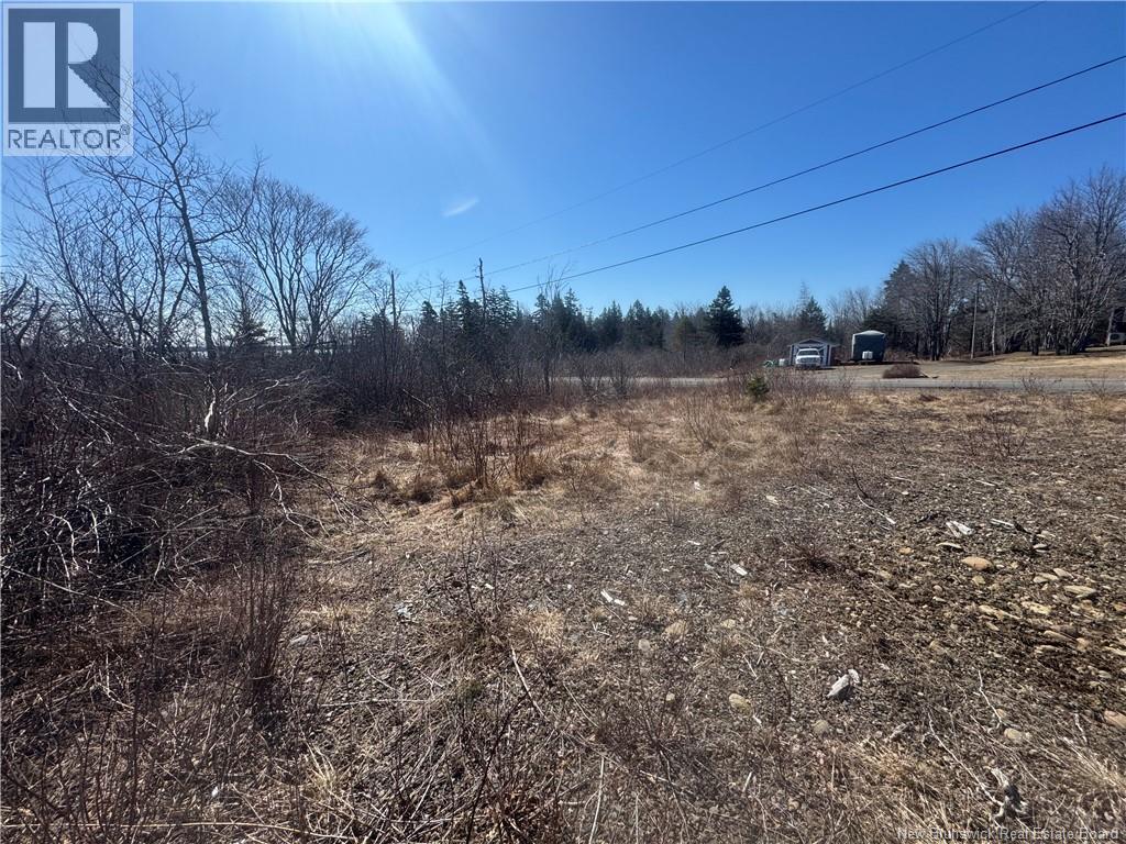 90 Foster Hill Road, Grand Manan, New Brunswick  E5G 2G6 - Photo 7 - NB137043