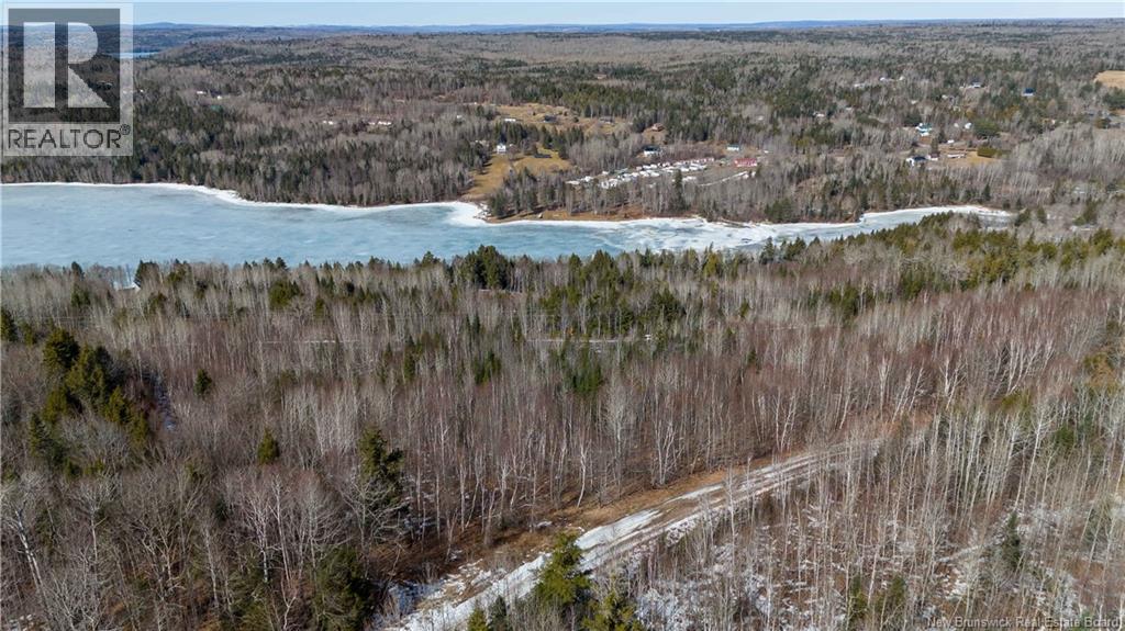 Lot Mountain Road, Mazerolle Settlement, New Brunswick  E2E 2H9 - Photo 3 - NB137025