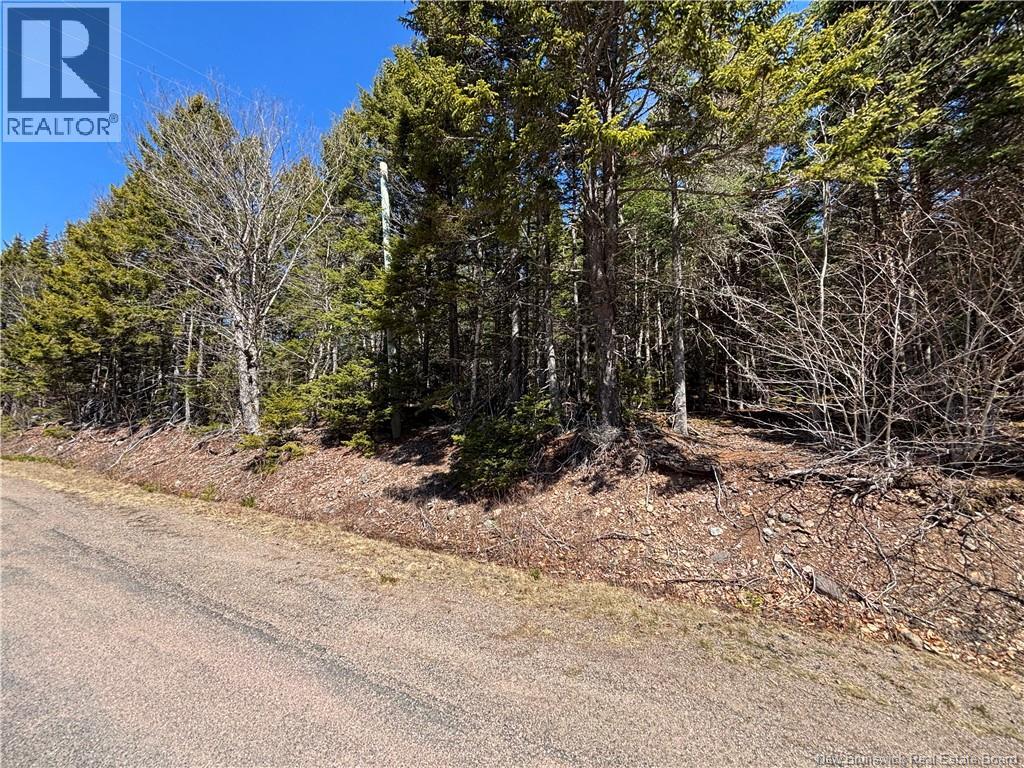 Shore Road, Breadalbane, New Brunswick  E5C 1P2 - Photo 2 - NB137016