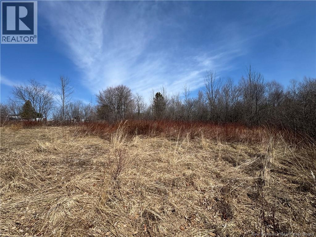 9321 Route 3, Old Ridge, New Brunswick  E3L 4X4 - Photo 2 - NB137156