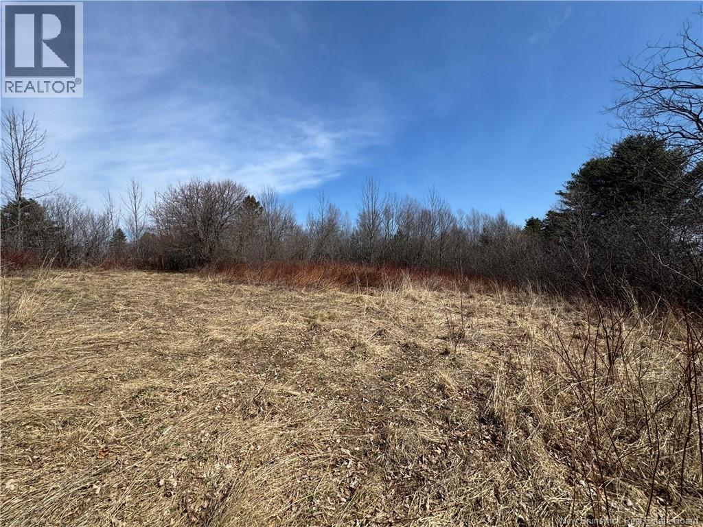 9321 Route 3, Old Ridge, New Brunswick  E3L 4X4 - Photo 7 - NB137156