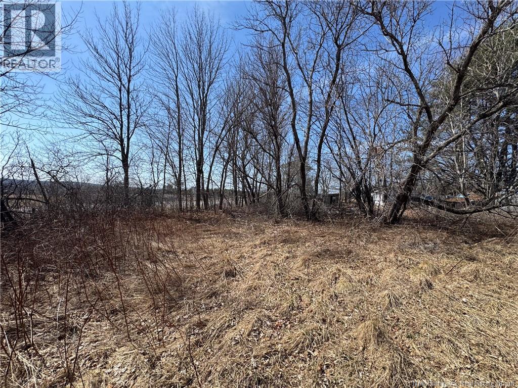 9321 Route 3, Old Ridge, New Brunswick  E3L 4X4 - Photo 6 - NB137184