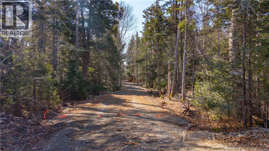 3008 Route 760, Bethel, New Brunswick  E5C 0G2 - Photo 19 - NB137162