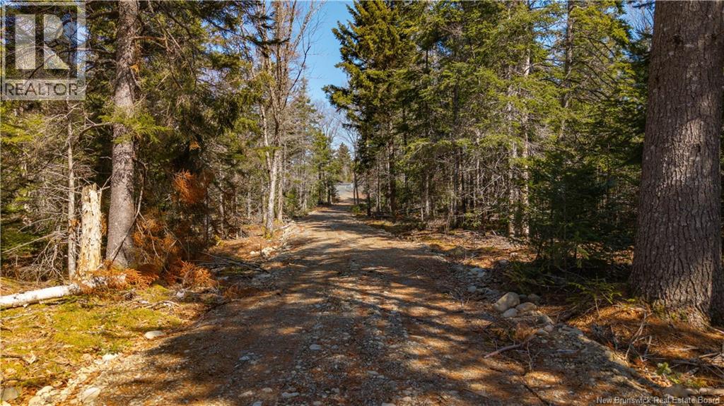 3008 Route 760, Bethel, New Brunswick  E5C 0G2 - Photo 21 - NB137162
