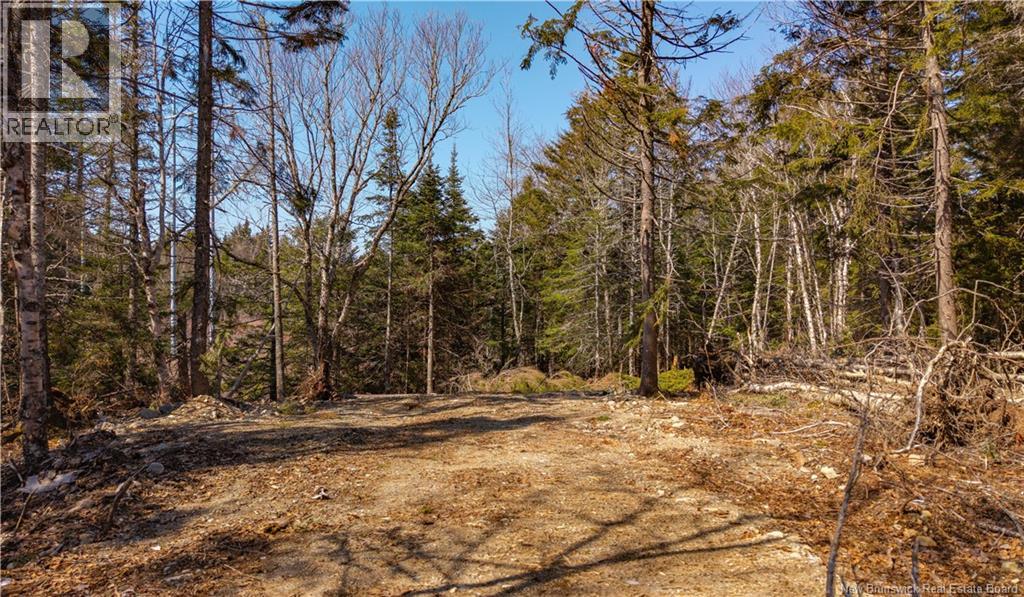 3008 Route 760, Bethel, New Brunswick  E5C 0G2 - Photo 24 - NB137162