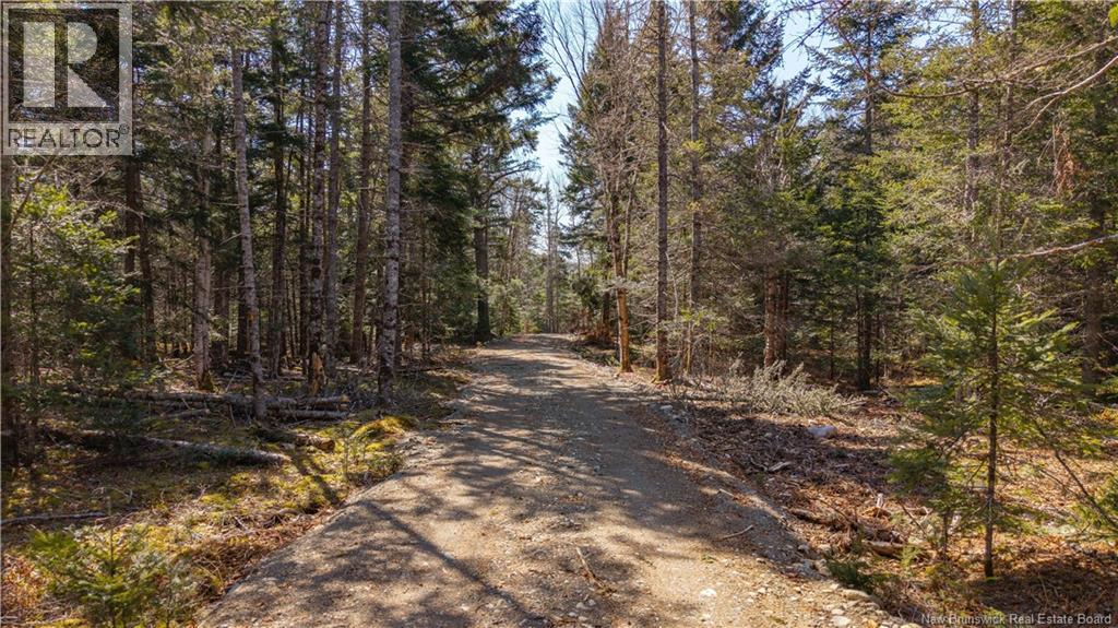 3008 Route 760, Bethel, New Brunswick  E5C 0G2 - Photo 25 - NB137162