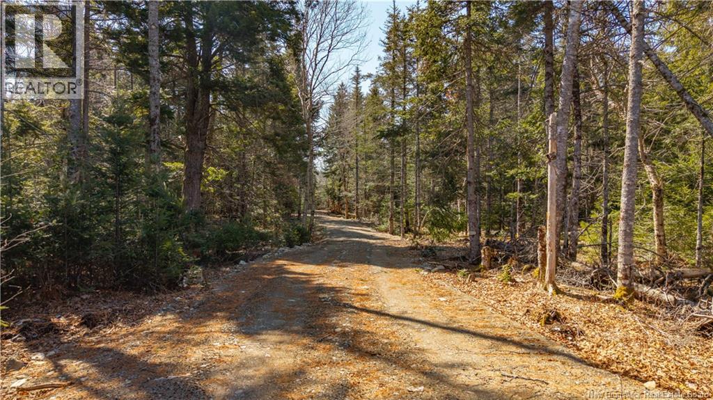 3008 Route 760, Bethel, New Brunswick  E5C 0G2 - Photo 26 - NB137162