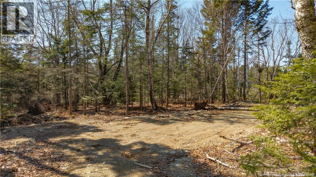 3008 Route 760, Bethel, New Brunswick  E5C 0G2 - Photo 27 - NB137162